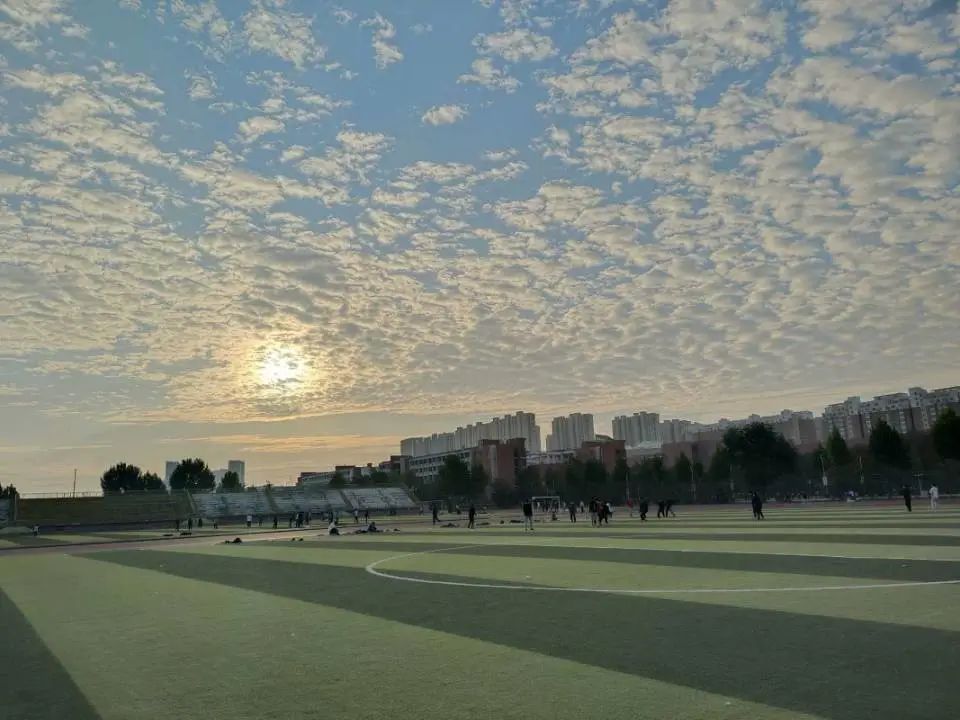 73882必赢游戏欢迎光临